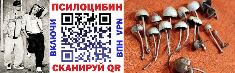 Псилоцибиновые грибы мицелий Певек